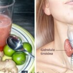 Beneficios de los Rábanos, Jengibre y Miel para la Tiroides y la Vesícula