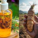 Nace Cabello Nuevo: Activa tu Crecimiento Capilar con Jengibre, Laurel y Romero