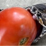 Transforma los Tomates Imperfectos: Remedios Caseros y Recetas