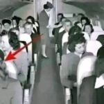 El Increíble Misterio del Vuelo TA-914: Un Avión Desaparecido Vuelve 20 Años Después