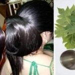 Descubre cómo crear tintes naturales con higos para tus proyectos creativos​