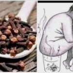 Descubre los Poderosos Beneficios del Clavo de Olor y Por Qué Deberías Incluirlo en tu Vida Hoy