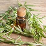 Romero y Moringa: El Poderoso Remedio Natural – Guía Completa de Preparación