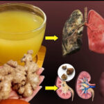 Limpia Riñones, Hígado y Pulmones: El Poder Desintoxicante del Jengibre y Naranja