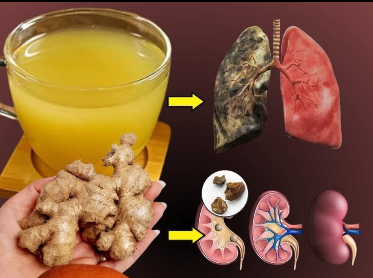 Limpieza de riñones, hígado y pulmones