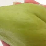 Los Beneficios del Chayote para Tu Salud: Un Superalimento Natural para Incluir en tu Dieta