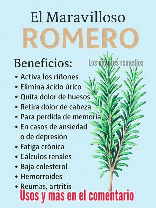 Ramo de Romero