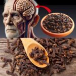 El Poder Inesperado de Masticar Clavos: ¿Mitad de Cuento o Realidad?