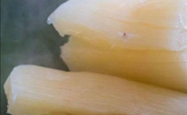 Yuca cocida
