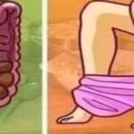 Receta Natural para Limpiar el Colon y Mantenerlo Saludable