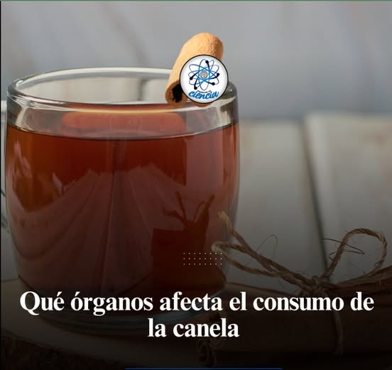 Imagen representativa de la atención plena