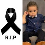 La Última Aventura de un Pequeño Compañero