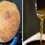La Manera Más Fácil de Hacer Aceite de Coco en Casa