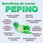Descubre los Increíbles Beneficios del Pepino para Tu Salud