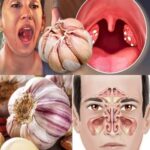 Los Poderes Curativos del Ajo: Beneficios y Usos