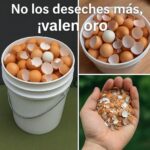 No deseches las cáscaras de huevo: Beneficios y usos sorprendentes