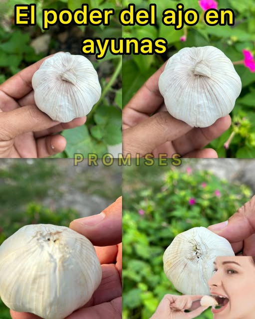 Beneficios del ajo crudo
