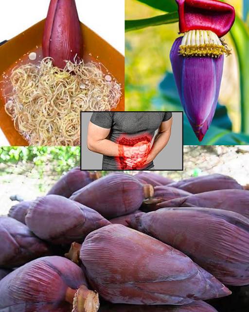 Flor de plátano