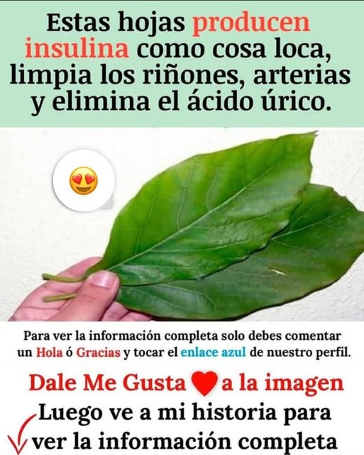 Hoja de higo