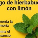 Delicioso Jugo de Hierbabuena con Limón: Preparación y Beneficios