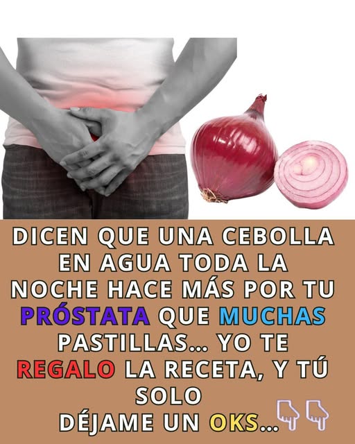 Cebolla en Agua