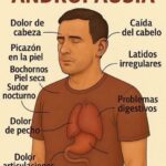 Síntomas de la Menopausia Masculina: Lo que Necesitas Saber