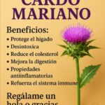 Los Beneficios del Cardo Mariano para tu Bienestar Diario