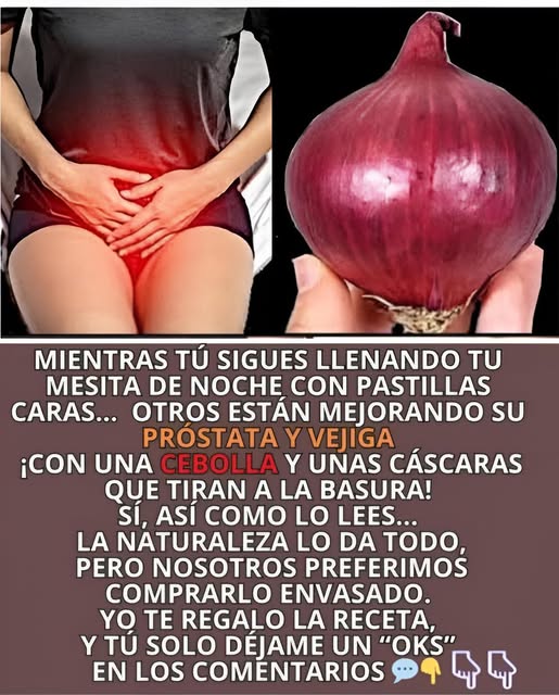 Cebolla fresca en la cocina
