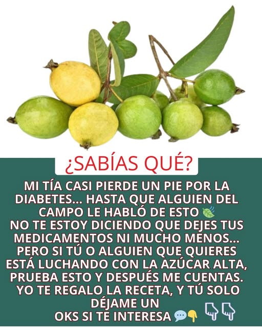 Té de hojas de guayaba