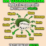 Beneficios de la Guanábana: Receta Completa y Más