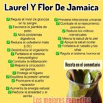 Delicias Naturales: Canela, Laurel y Flor de Jamaica