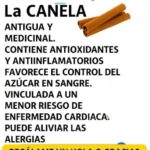 Alternativas Naturales a las Pastillas: Lo Que No Sabías