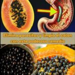 Desintoxica tu Colon de Forma Natural con Papaya y Semillas: Una Receta Saludable y Efectiva
