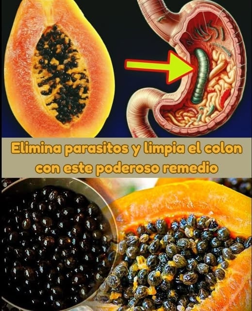 Papaya y sistema digestivo