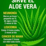 Los Asombrosos Beneficios del Aloe Vera en Enfermedades Graves