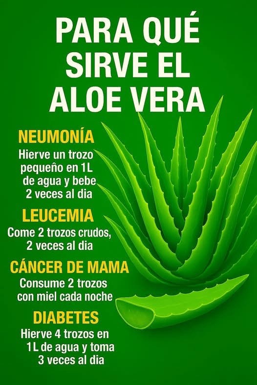 Beneficios del Aloe Vera