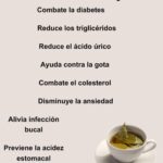 Los Poderosos Beneficios del Té de Laurel en Ayunas