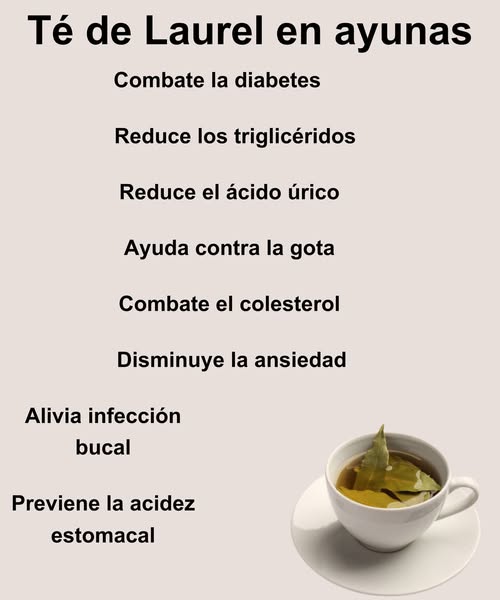 Té de laurel en ayunas