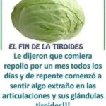 Las Sorpresas del Repollo: Beneficios y Precauciones para la Salud