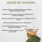 Los Increíbles Beneficios del Té de Hojas de Guayaba para la Salud