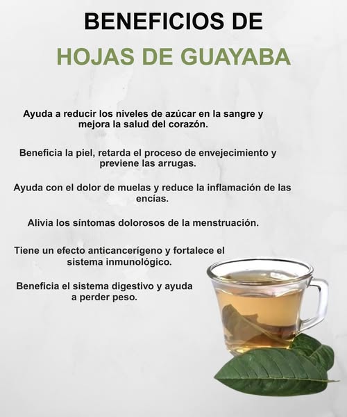 Té de hojas de guayaba