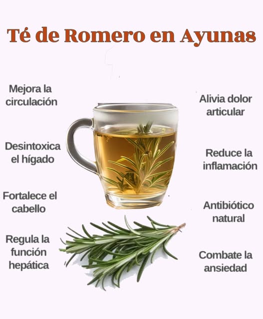 Beneficios del té de romero