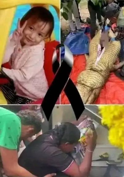 Búsqueda de niña desaparecida