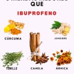 5 Hierbas Naturales que Superan al Ibuprofeno: Alternativas Saludables para el Alivio del Dolor