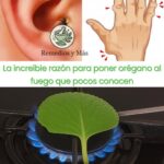 El Poder del Orégano: Remedio Natural que Transforma tu Salud