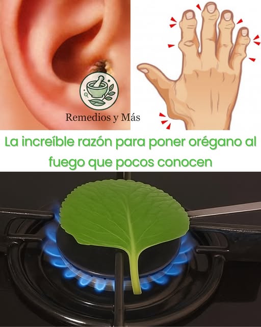 Hoja de orégano al fuego