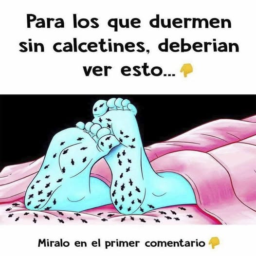 Dibujo humorístico sobre dormir sin calcetines
