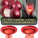 Revitaliza tu Vejiga y Próstata: Receta Natural con Cebolla