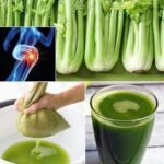 Descubre los Asombrosos Beneficios del Jugo de Apio: Un Remedio Natural para el Bienestar