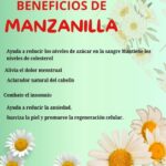 Descubre los Increíbles Beneficios de la Manzanilla